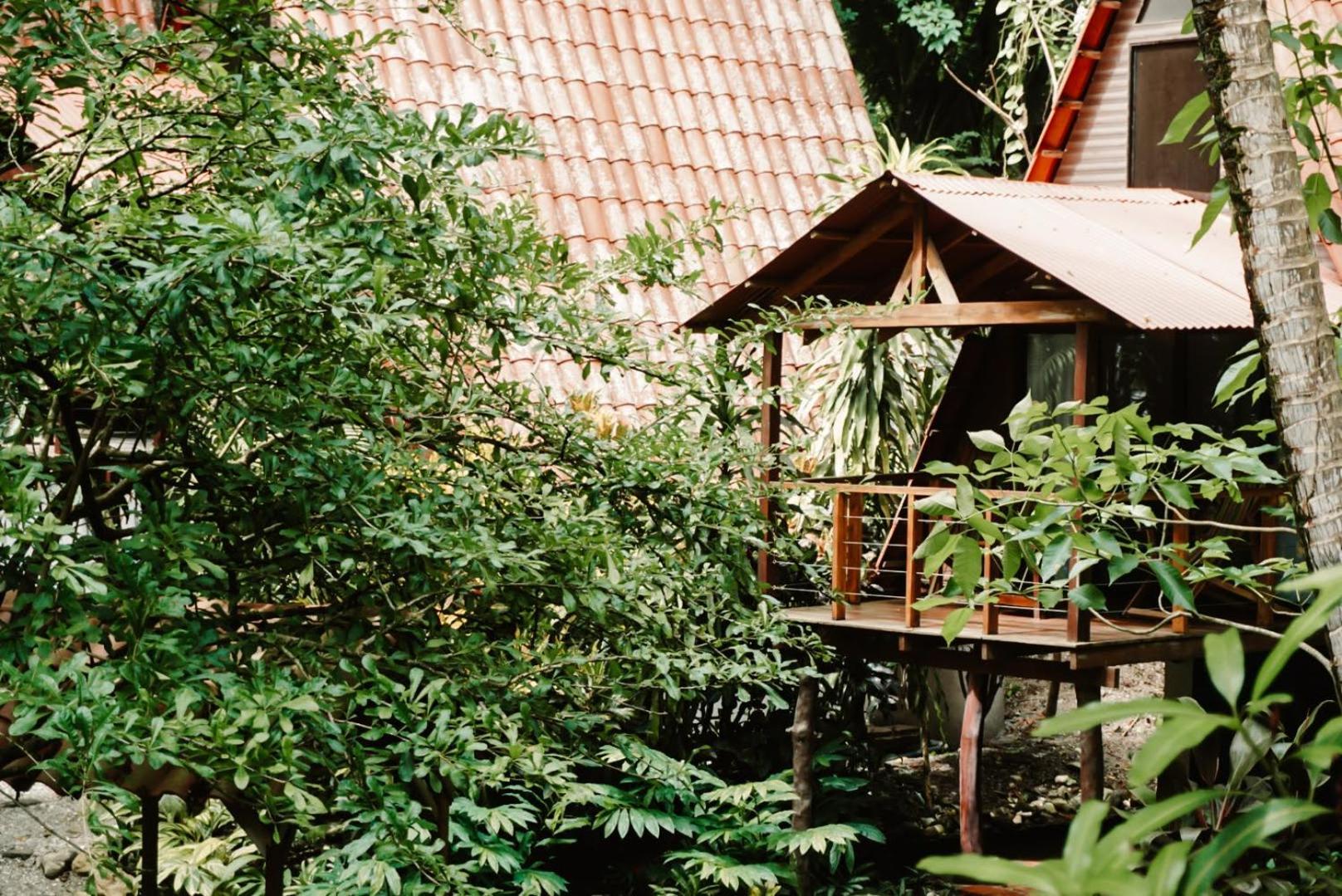 Calala Lodge Cabuya  المظهر الخارجي الصورة