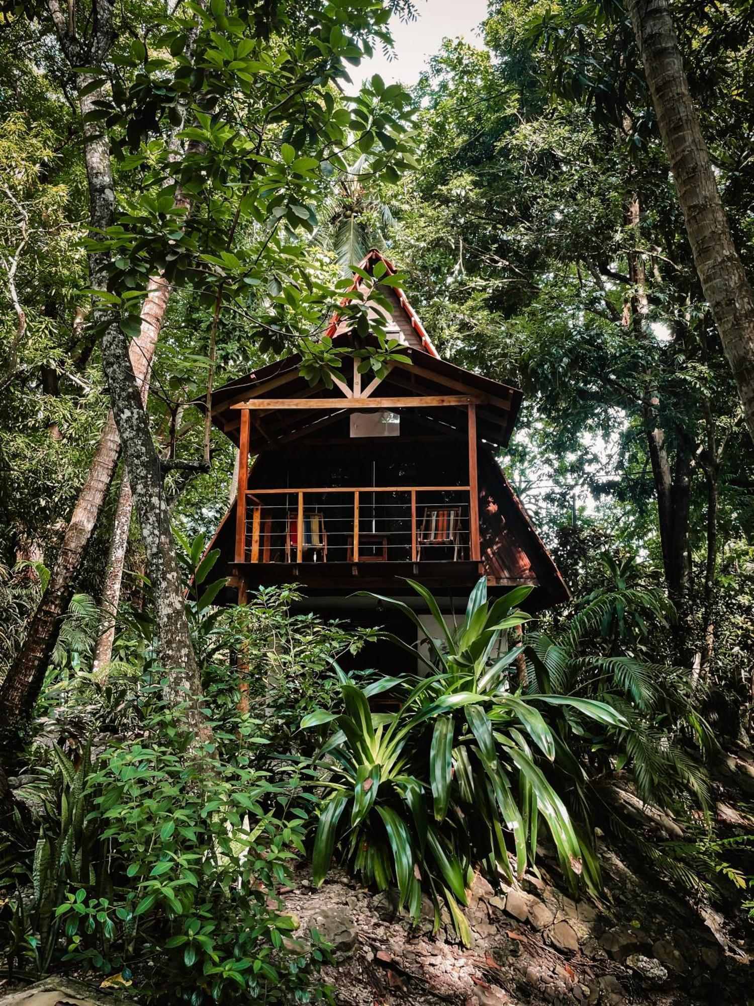 Calala Lodge Cabuya  المظهر الخارجي الصورة